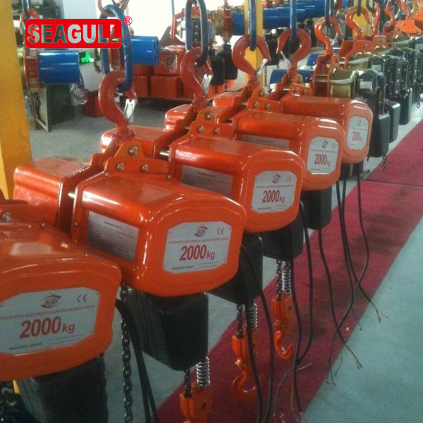 One Year Warranty Electric Chain Block 500kg 5000kg Single PH For