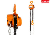 Heavy duty Hand manual chain hoist 5 ton Cap Lift 3m small chain hoist