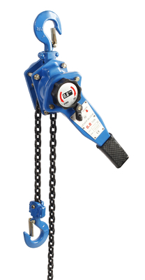 L/C Payment Term Chain-Operated Hoist with Alloy Steel Chain Material