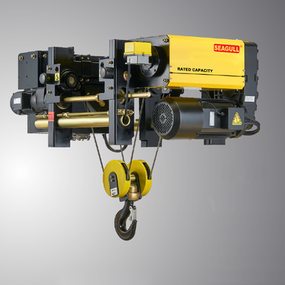 220V-480V Single/Dual Speed Variable Frequency Chain Hoist 0.2-37KW Motor Power